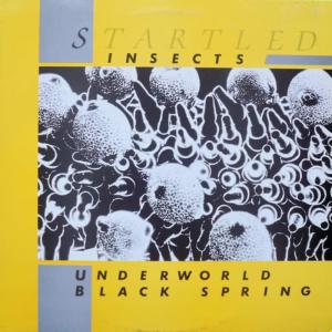 收聽Startled Insects的Underworld (Long)歌詞歌曲