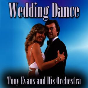 收聽Tony Evans and His Orchestra的Tonight I celebrate My Love For You (Waltz - 29Bpm)歌詞歌曲