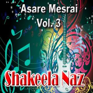 Listen to Mesrai Tappai, Pt. 3 song with lyrics from Shakeela Naz