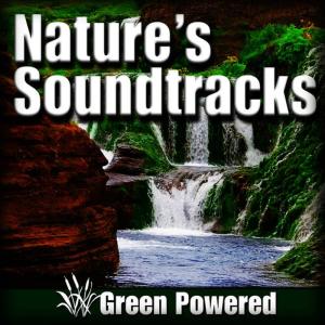 ดาวน์โหลดและฟังเพลง Natural Jungle Habitat พร้อมเนื้อเพลงจาก Green Powered