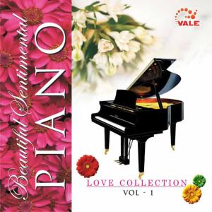 ดาวน์โหลดและฟังเพลง For Elise (Instrumental) พร้อมเนื้อเพลงจาก Robert Anderson