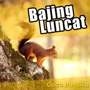 Dengarkan Layung lagu dari Caca Handika dengan lirik