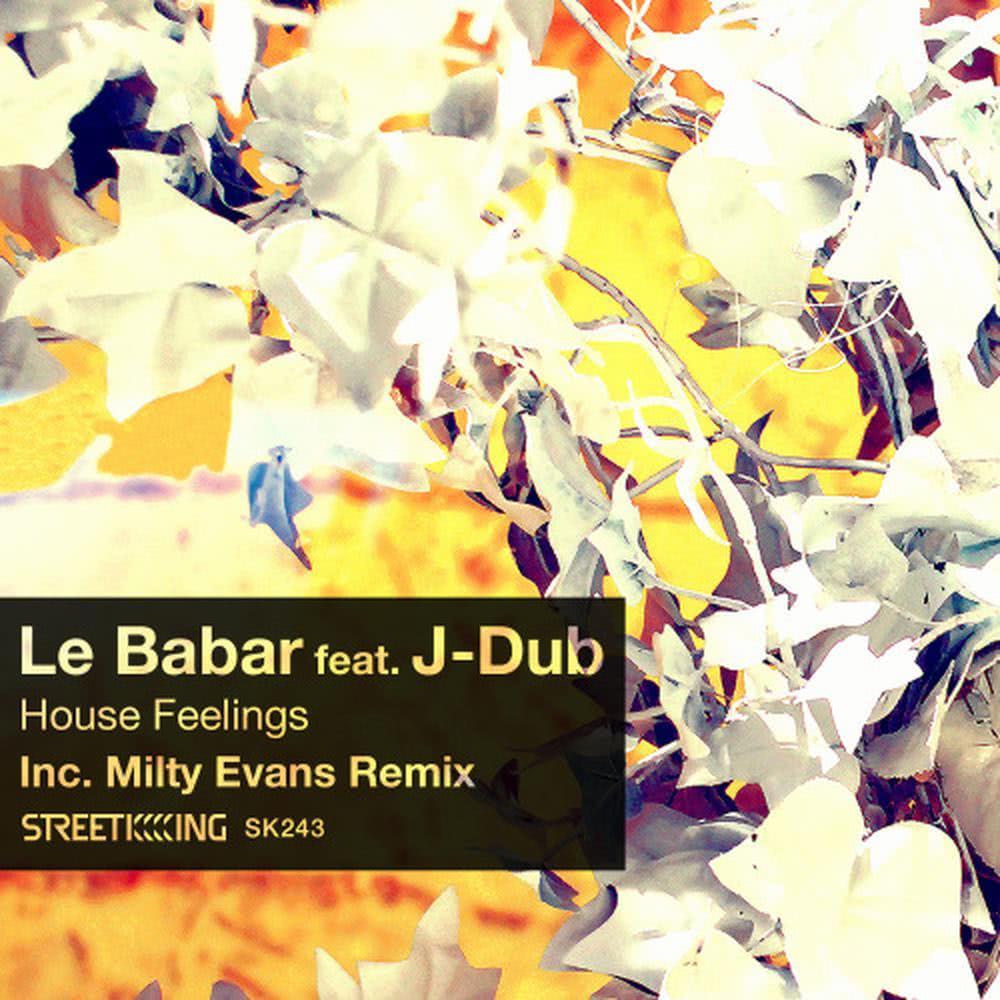 House Feelings (Le Babar Dub Mix)