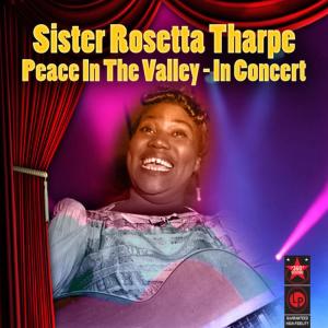 ดาวน์โหลดและฟังเพลง Vacation In The Sky พร้อมเนื้อเพลงจาก Sister Rosetta Tharpe