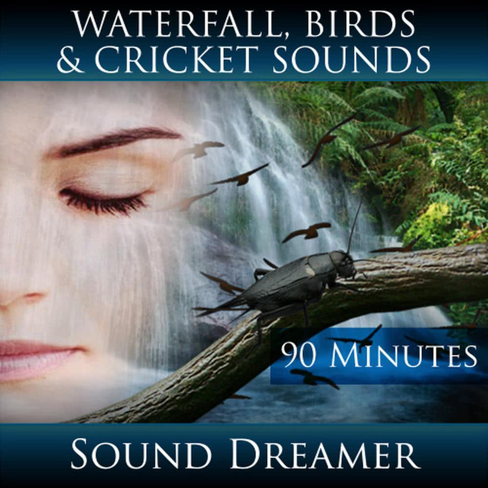 Waterfall, Birds and Cricket Sounds - 90 Minutes