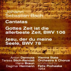 ดาวน์โหลดและฟังเพลง Johann Sebastian Bach: Jesu, der du meine Seele, BWV 78 - V. "Die Wunden, Nδgel, Kron und Grab" พร้อมเนื้อเพลงจาก Anton Dermota