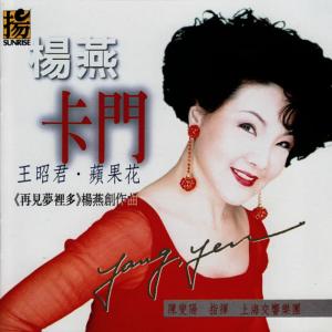 收聽楊燕的Crying in the Rain歌詞歌曲