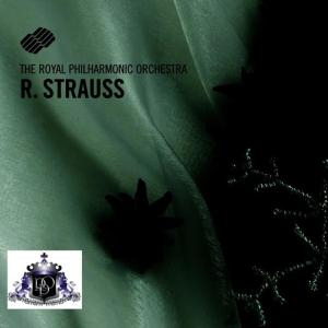 收聽Royal Philharmonic Orchestra的Don Juan, Op. 20: Don Juan, Op. 20歌詞歌曲