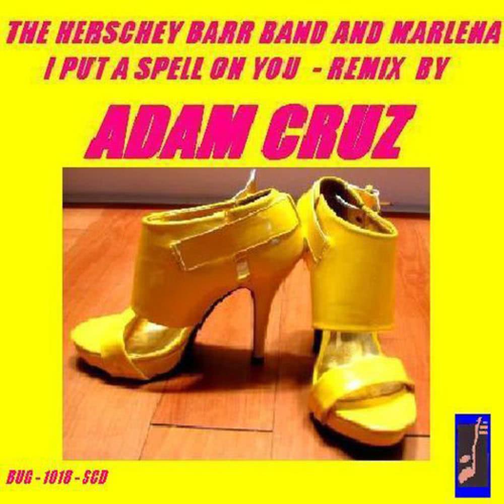 I Put a Spell On You (Adam Cruz Instrumental Remix)