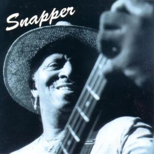 ดาวน์โหลดและฟังเพลง Whatever พร้อมเนื้อเพลงจาก Snapper