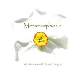 ดาวน์โหลดและฟังเพลง Meditation for a Deep Rejuvenating Sleep พร้อมเนื้อเพลงจาก Peter Tongue