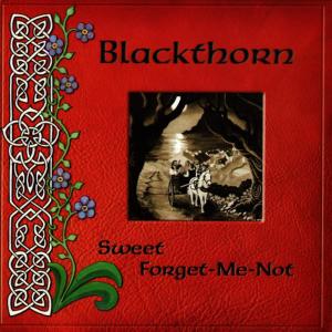 ดาวน์โหลดและฟังเพลง Craigieburn Wood / Gentle Embrace พร้อมเนื้อเพลงจาก Blackthorn