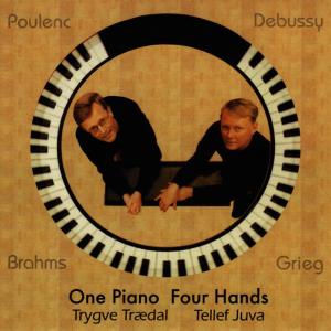 ดาวน์โหลดและฟังเพลง Walzer, Op. 39: Waltz No. 13 พร้อมเนื้อเพลงจาก Trygve Trædal
