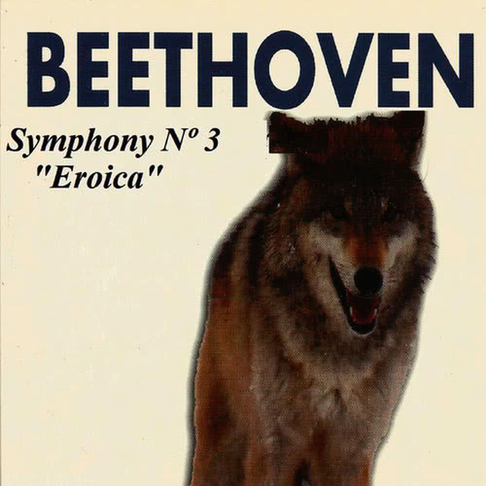 Symphony No. 3 in E-Flat Major, Op. 55: I. Allegro con brio