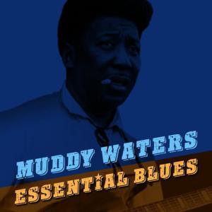 收聽Muddy Waters的I Want You to Love Me歌詞歌曲