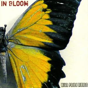 ดาวน์โหลดและฟังเพลง Pieces พร้อมเนื้อเพลงจาก In Bloom