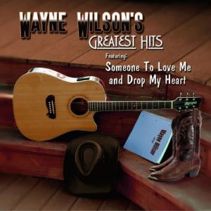ดาวน์โหลดและฟังเพลง Counting the Stars (Studio) พร้อมเนื้อเพลงจาก Wayne Wilson