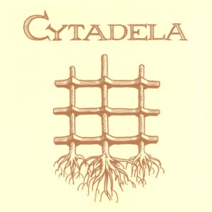 ดาวน์โหลดและฟังเพลง Głód พร้อมเนื้อเพลงจาก Cytadela