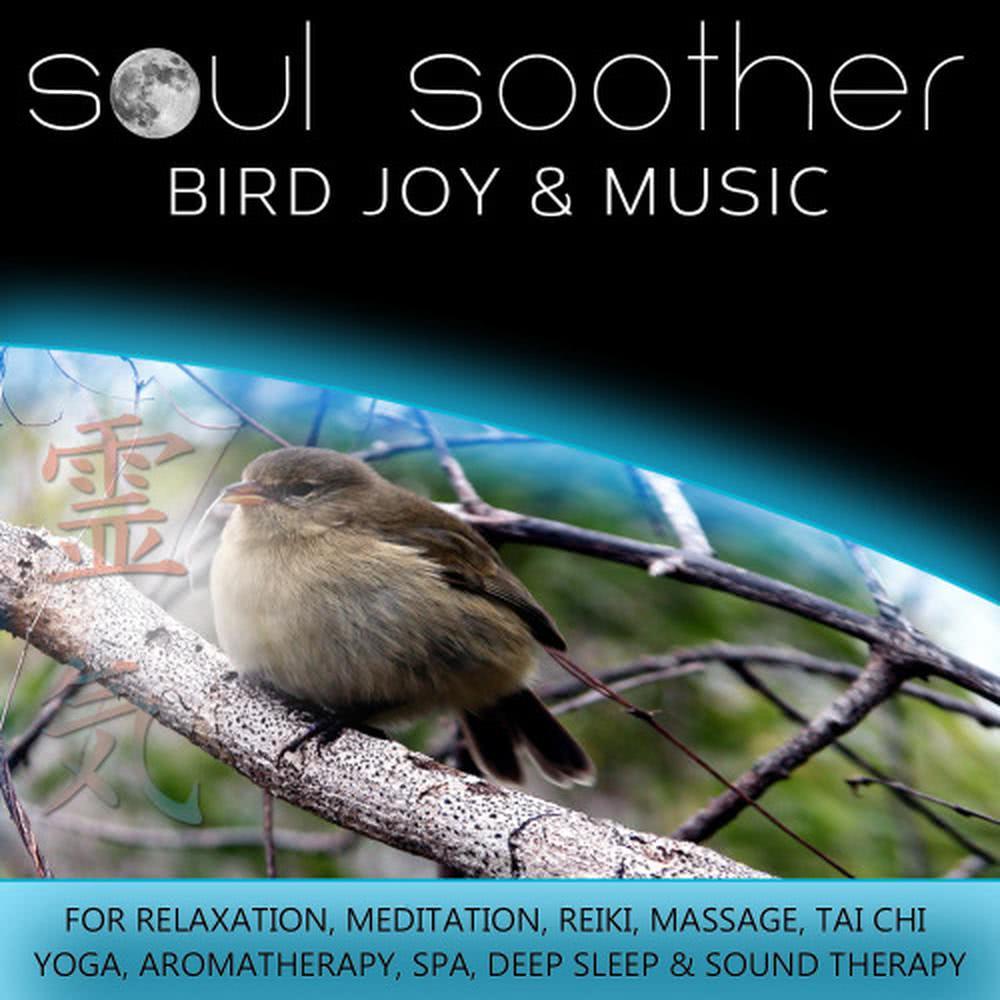 Bird Joy And Music