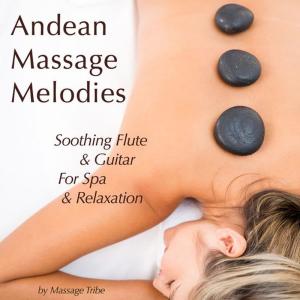 ดาวน์โหลดและฟังเพลง Solo Flute Melody พร้อมเนื้อเพลงจาก Massage Tribe