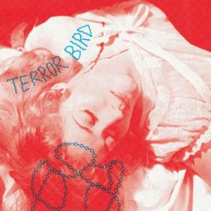 Terror Bird的專輯Outside / When I Woke Up
