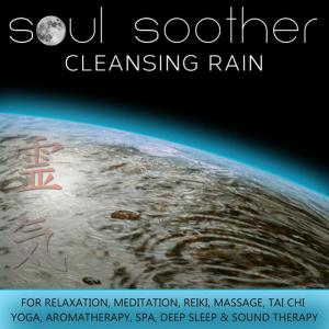 ดาวน์โหลดและฟังเพลง Cleansing Rain พร้อมเนื้อเพลงจาก Soul Soother