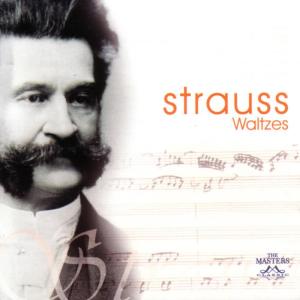 ดาวน์โหลดและฟังเพลง Blue Danube พร้อมเนื้อเพลงจาก Knife The Symphony