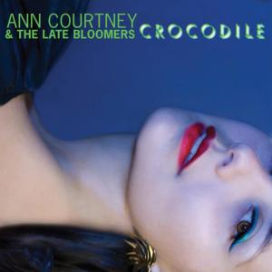 ดาวน์โหลดและฟังเพลง Nothing on Me พร้อมเนื้อเพลงจาก Ann Courtney