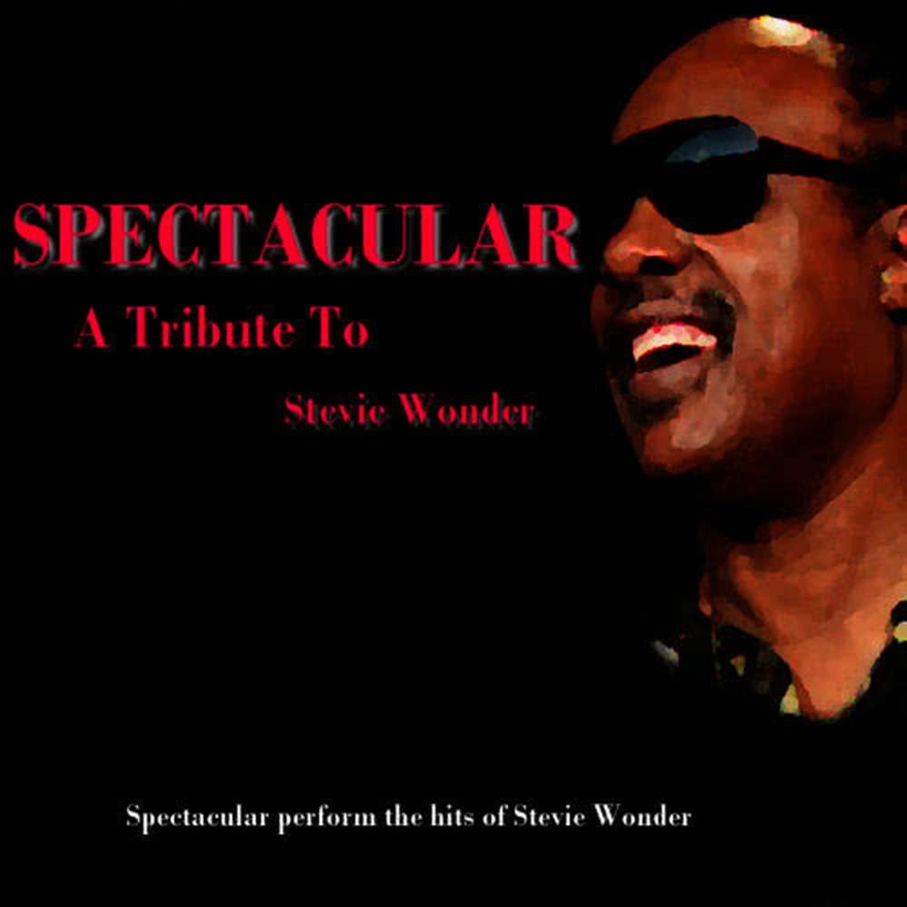 A Tribute To Stevie Wonder