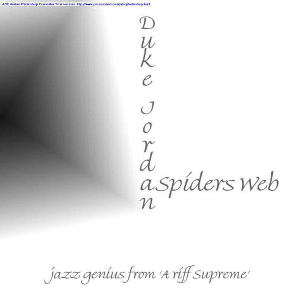 Spider's Web