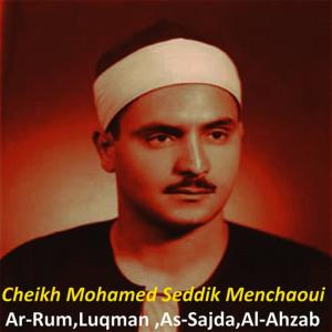 收聽Cheikh Mohamed Seddik Menchaoui的Al - Ahzab(Les coalisés)歌詞歌曲