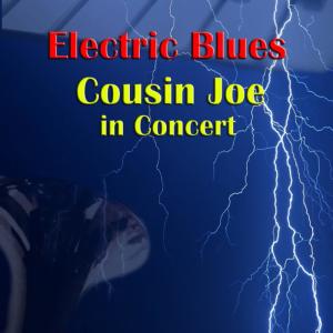 ดาวน์โหลดและฟังเพลง Married Life พร้อมเนื้อเพลงจาก Cousin Joe