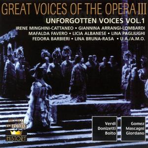 ดาวน์โหลดและฟังเพลง Il Trovatore: Prima che d'altri vivere…lo volli tua morir พร้อมเนื้อเพลงจาก Irene Minghini-Cattaneo