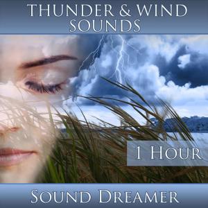 ดาวน์โหลดและฟังเพลง Thunder and Wind Sounds - 1 Hour พร้อมเนื้อเพลงจาก Sound Dreamer
