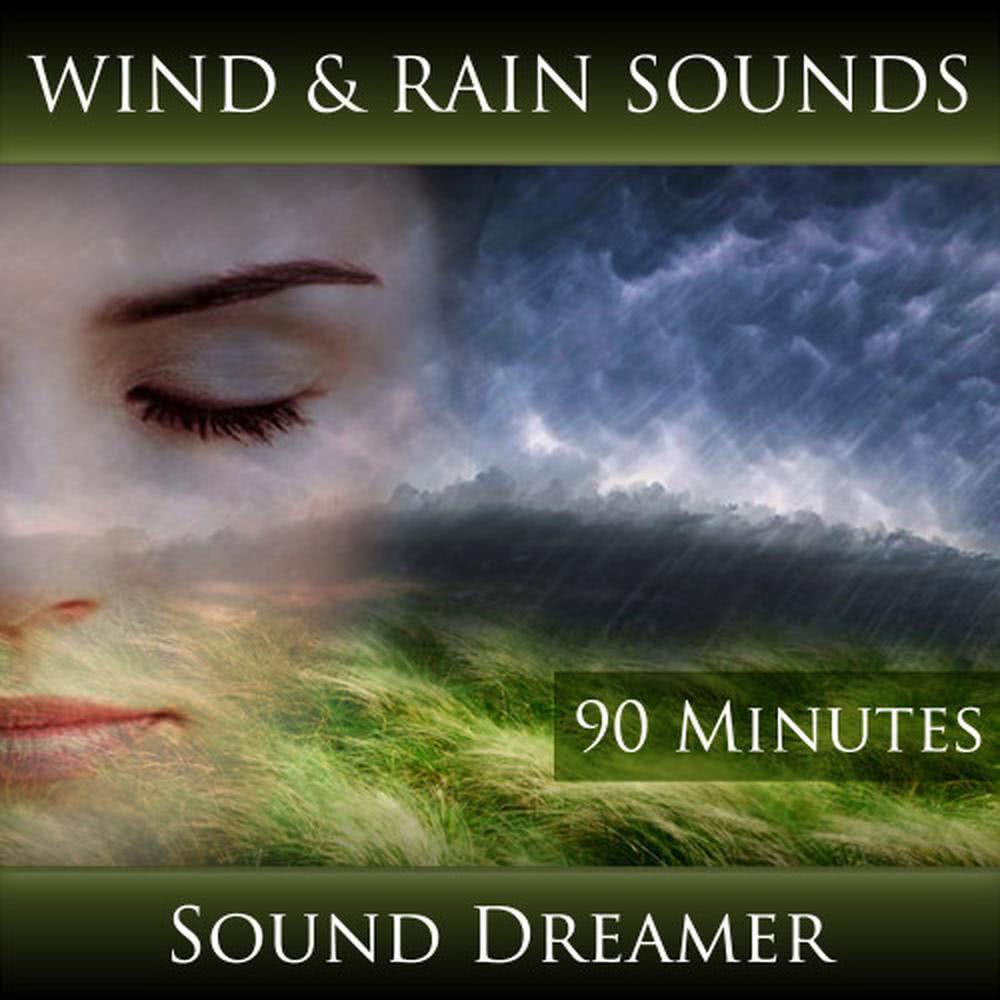 Wind and Rain Sounds - 90 Minutes