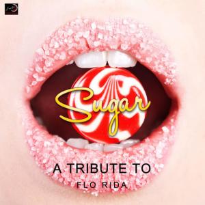 Ameritz Countdown Tributes的專輯Sugar - A Tribute to Flo Rida
