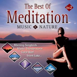 收聽The Music的Mystic Thunderstorm - Awakening Wildlife歌詞歌曲