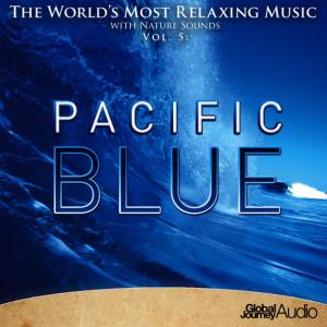 ดาวน์โหลดและฟังเพลง Riding the Waves พร้อมเนื้อเพลงจาก Steve Hogarty