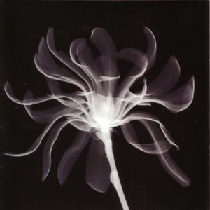 收聽Jump Little Children的Singer歌詞歌曲