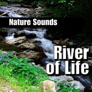 ดาวน์โหลดและฟังเพลง Natural Healing Force of a Quick River Between Two Waterfalls พร้อมเนื้อเพลงจาก Nature Sounds