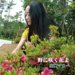 ดาวน์โหลดและฟังเพลง My wish พร้อมเนื้อเพลงจาก Mary Yamaguchi