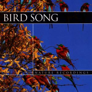 ดาวน์โหลดและฟังเพลง Birdsong 2 พร้อมเนื้อเพลงจาก Keith Halligan