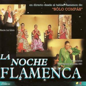อัลบัม La Noche Flamenca en Directo ศิลปิน Pastora Galván