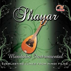 收聽Hindi Instrumental Group的Aaye ho meri zindagi (Raja hindustani)歌詞歌曲