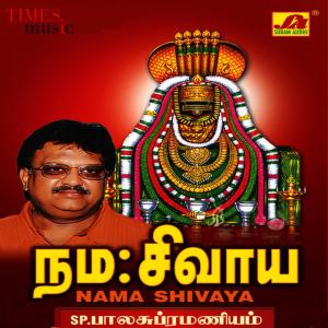 ดาวน์โหลดและฟังเพลง Hara Hara Shivane พร้อมเนื้อเพลงจาก S.P.Balasubramaniam