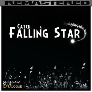 Various Artists的專輯Catch a Falling Star