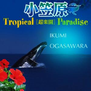 收聽Ikumi Ogasawara的The Eternal Blue Ocean歌詞歌曲