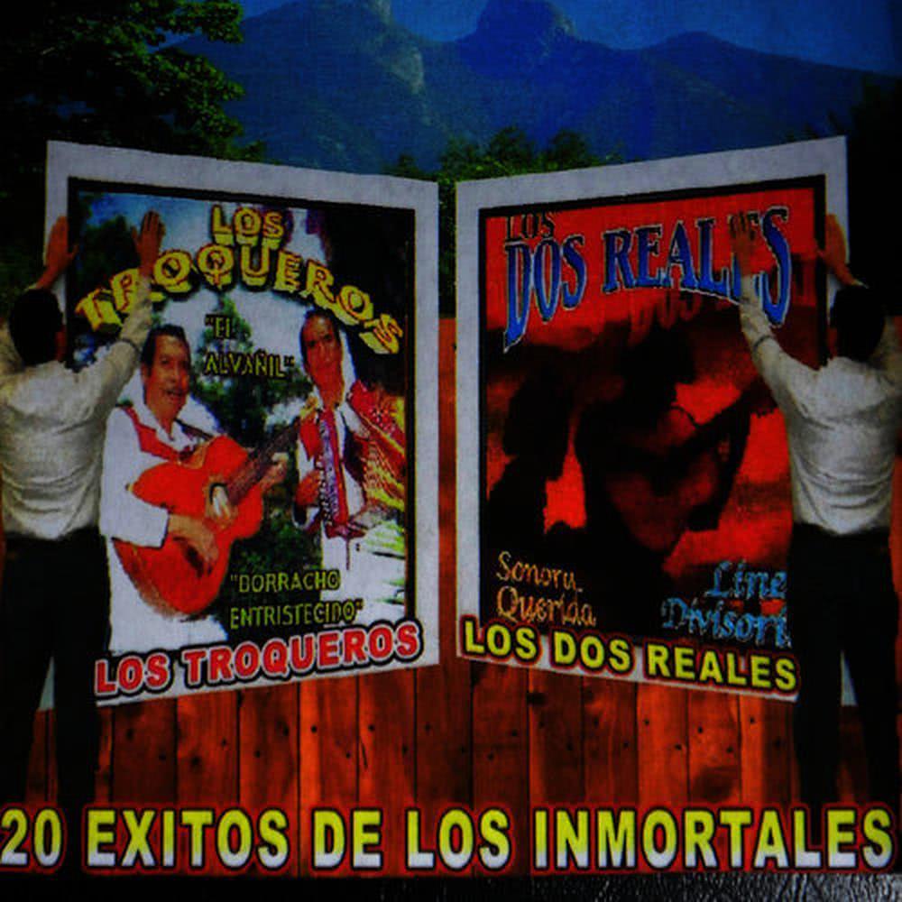 El Aguitado