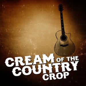 收聽Country Pop All-Stars的I'm Gonna Miss Her (The Fishin' Song)歌詞歌曲