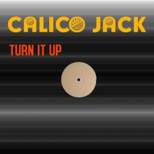 收聽Calico Jack的Turn It Up (Electro Tribal Mix)歌詞歌曲
